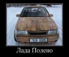 87253397_lada-poleno.jpg