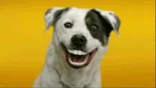 74936645-happy.gif