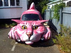 1258058746_1257956414_cat-car.jpg