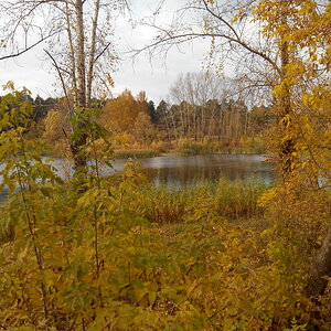 Пейзаж осенний