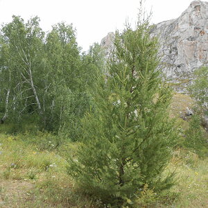 DSCN2223