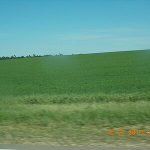 DSCN0410