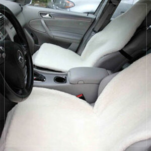 Characteristics__image3