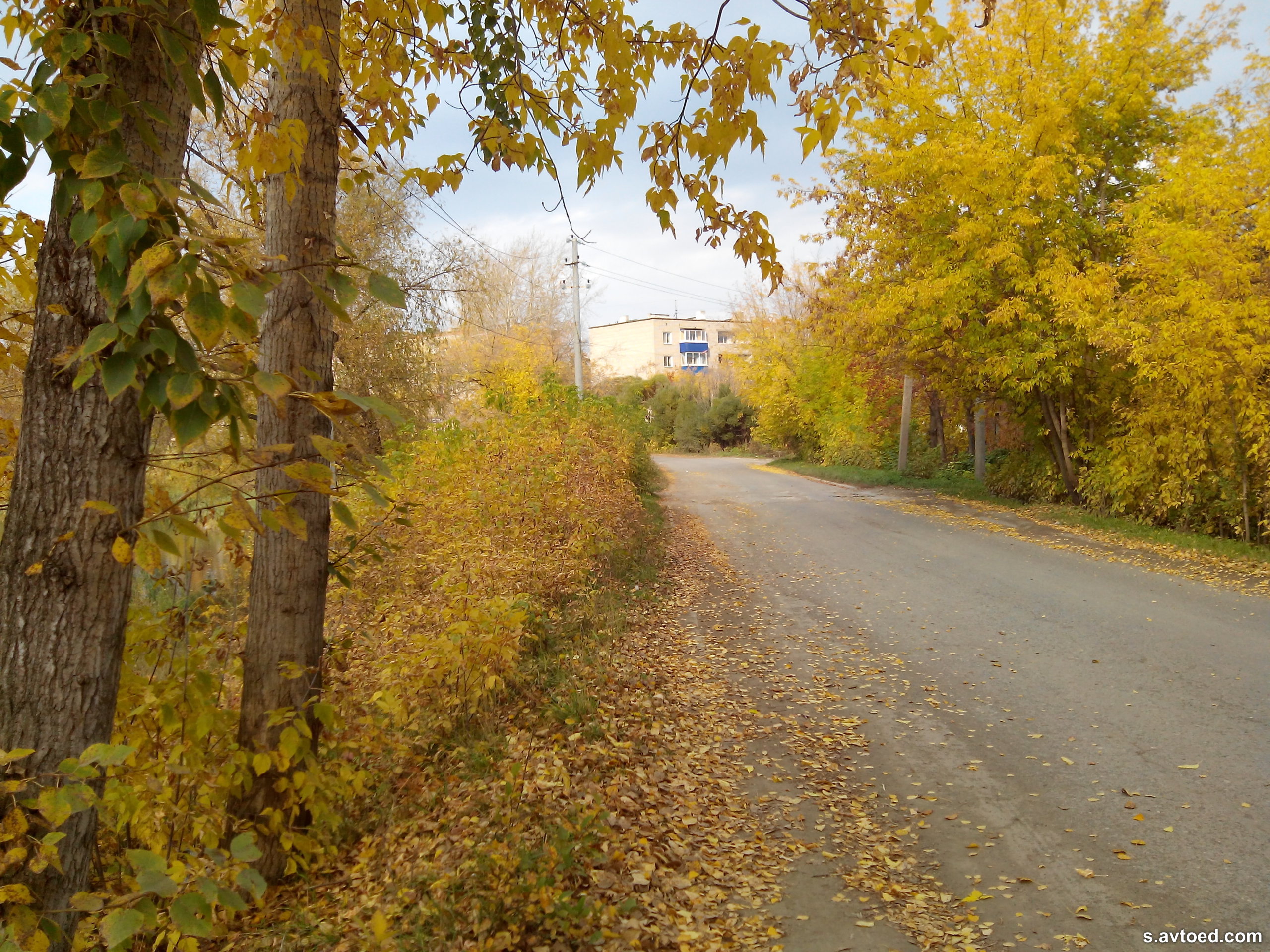 Осенние дороги в России 2